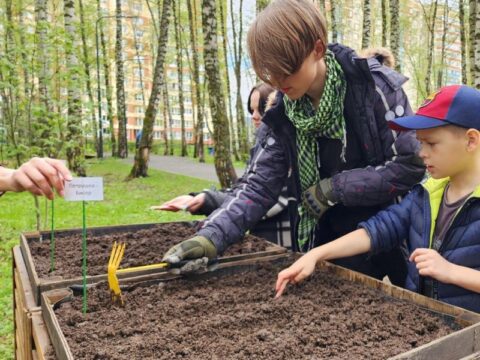 Юные жители Домодедова высадили семена овощей на общественном огороде в «День добрых дел» Новости Домодедово 